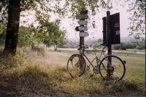 Jak wygląda sytuacja rowerzystów?